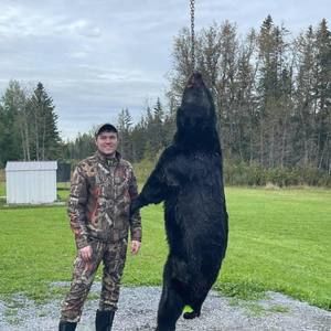 Meet your Posher, Dylan